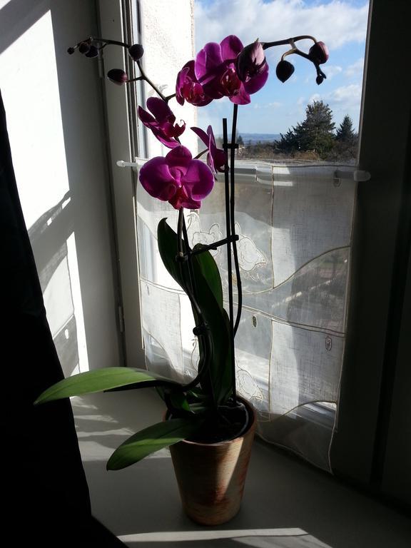 Relais St Jacques - Roanne Bed and Breakfast Saint-Haon-le-Châtel Εξωτερικό φωτογραφία